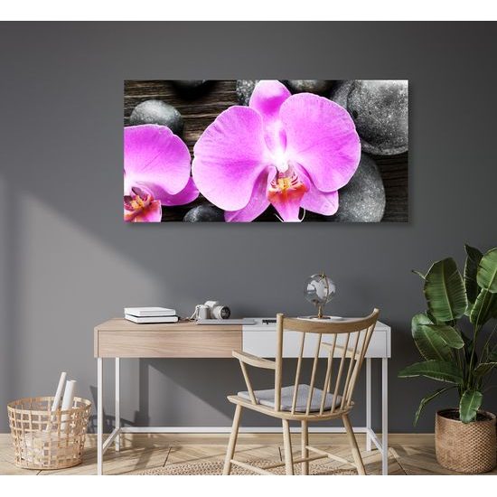 Obraz orchidea a Zen kamene na drevenom pozadí