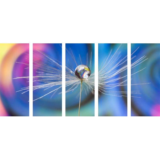 5-dielny obraz kvapka s zaujímavým pozadím