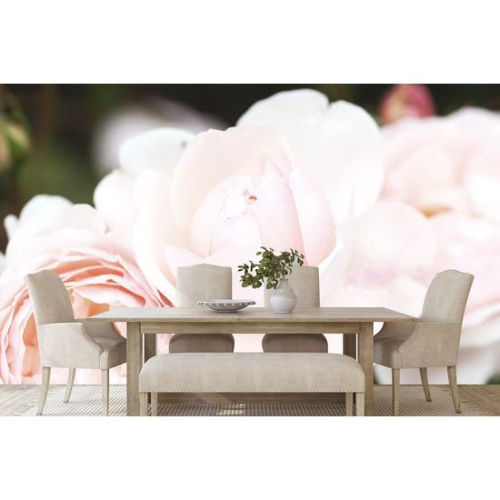 Samolepiaca fototapeta detail pastelovej ruže