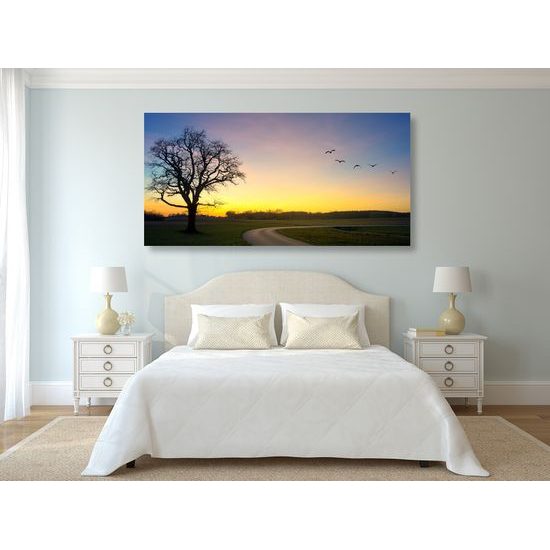 Obraz okúzľujúci západ slnka