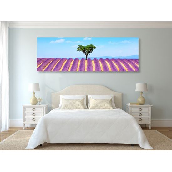 Obraz nekonečné levanduľové polia