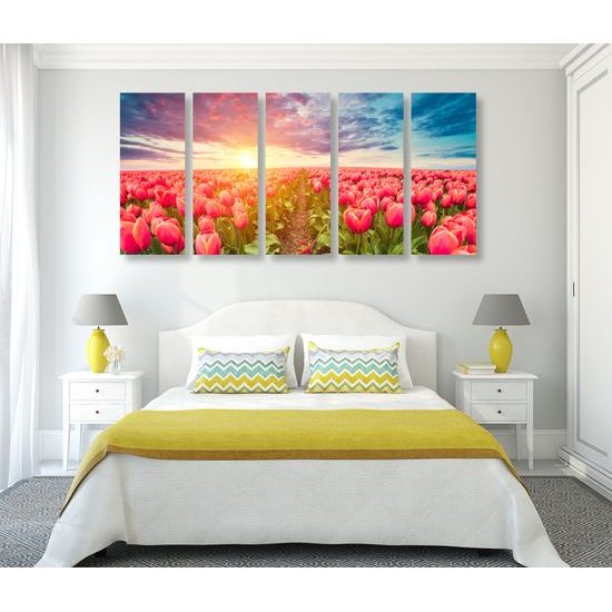 5-dielny obraz západ slnka nad rozkvinutými tulipánmi