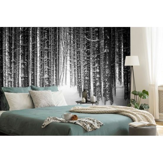 Samolepiaca fototapeta čiernobiele stromy pokryté snehovou nádielkou