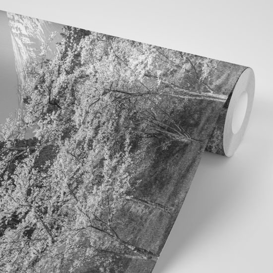 Fototapeta čiernobiela Fuji v objatí japonskej prírody