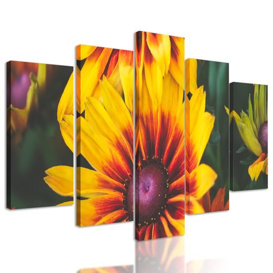5-dielny obraz pôvabné sfarbené kvety