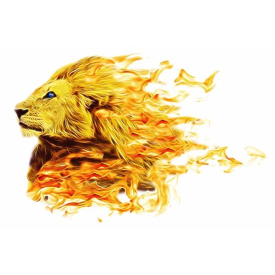 Samolepiaca tapeta ohnivá hlava leva
