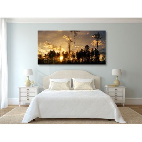 Obraz západ slnka v lese