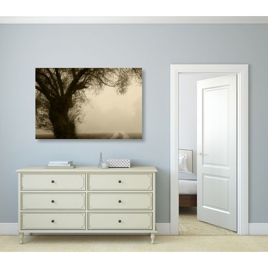 Obraz pole zahalené v rannej hmle v sépiovom prevedení