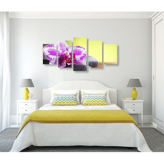 5-dielny obraz zaujímavo sfarbená orchidea a Zen kamene