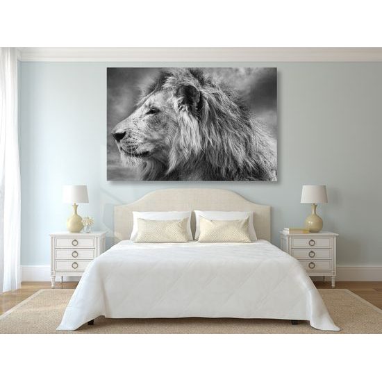 Obraz nádherný lev v čiernobielom prevedení