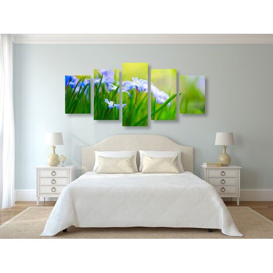 5-dielny obraz lúčne kvety na zelenej tráve