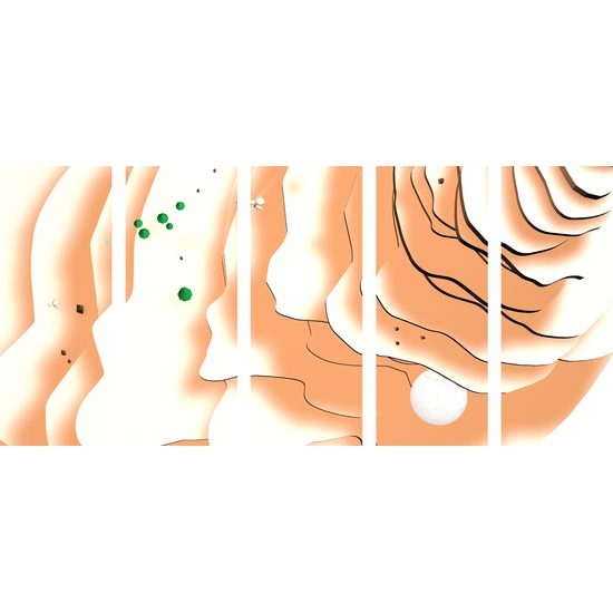 5-dielny obraz piesočné duny