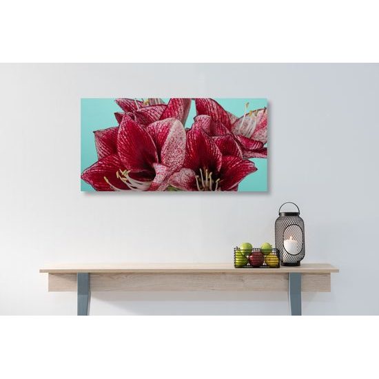 Obraz jedinečné kvety na tyrkysovom pozadí