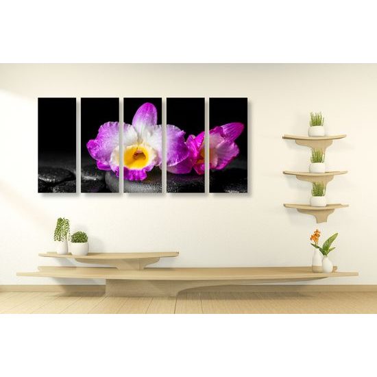 5-dielny obraz krásny kvet orchidei