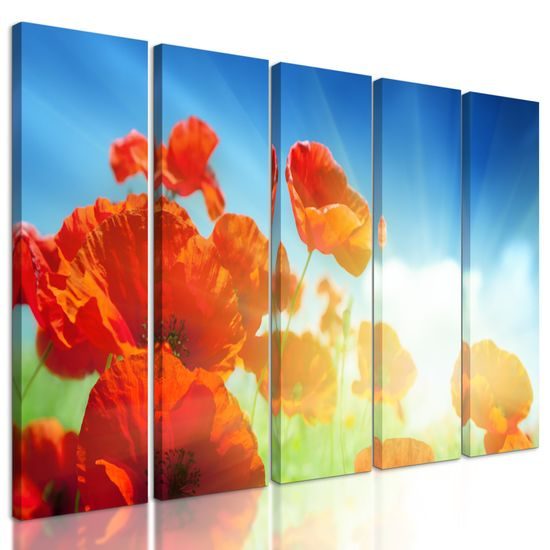 5-dielny obraz nádherné červené maky