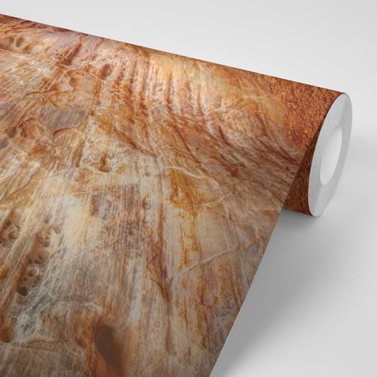 Samolepiaca fototapeta zákutie Grand Canyonu