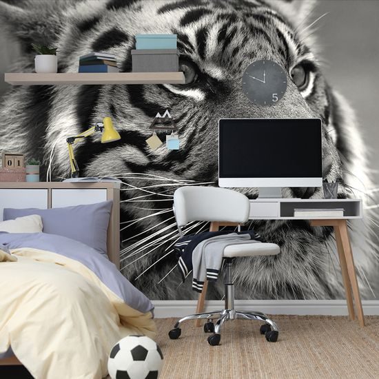 Samolepiaca fototapeta sústredený pohľad tigra v čiernobielom prevedení