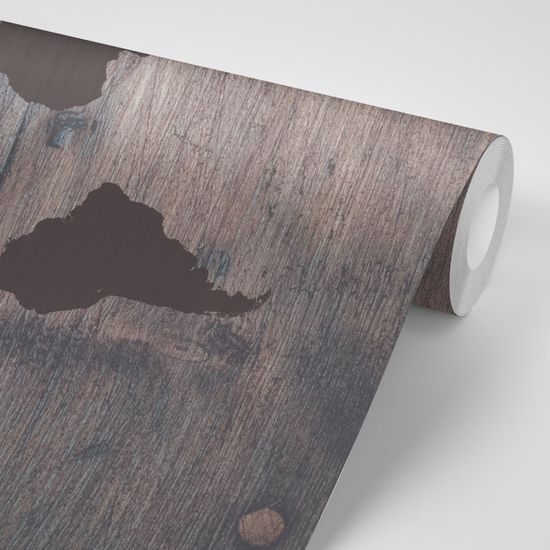 Samolepiaca tapeta umelecká mapa sveta