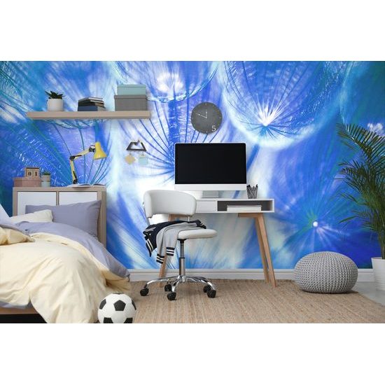 Zaujímavá fototapeta modrá púpava