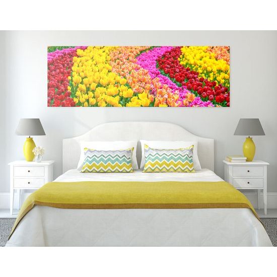Obraz lúka plná tulipánov