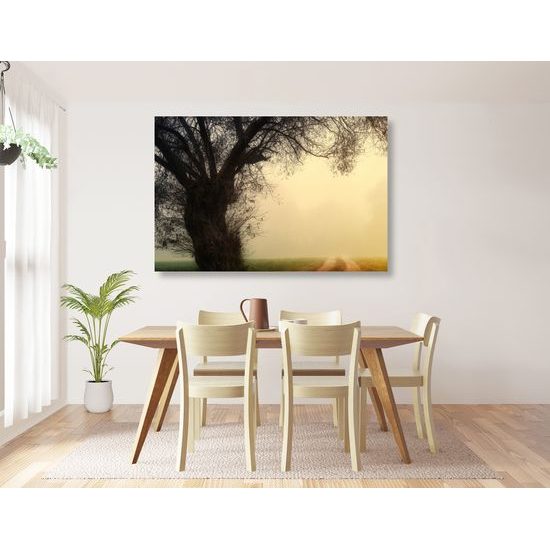 Obraz pole zahalené v rannej hmle