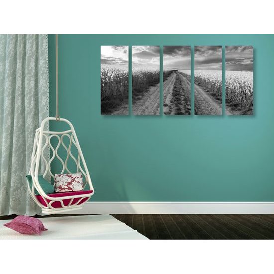 5-dielny obraz cesta v strede poľa v čiernobielom prevedení