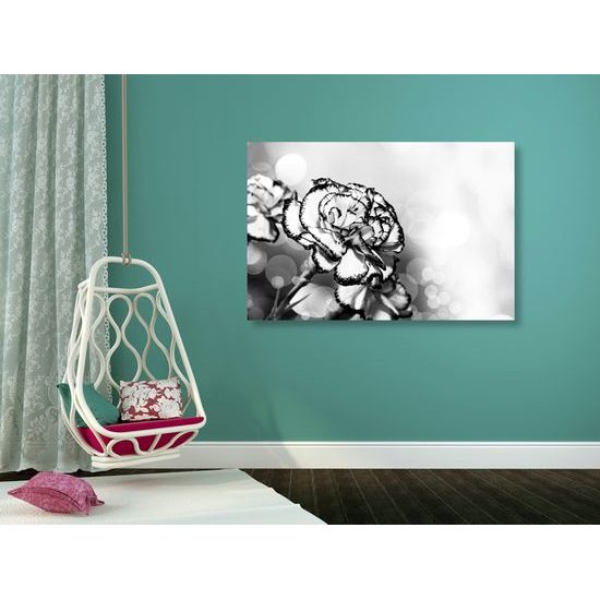 Obraz rozkvitnutý karafiát v čiernoielom prevedení