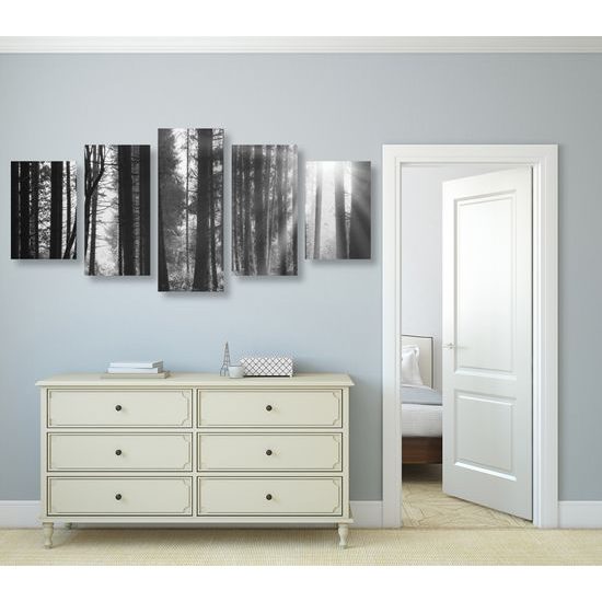 5-dielny obraz slnko predierajúce sa medzi korunami stromov v čiernobielom prevedení