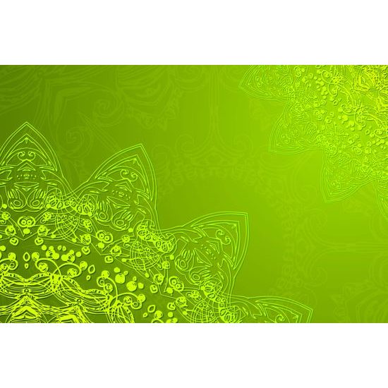 Obraz prírodná Mandala