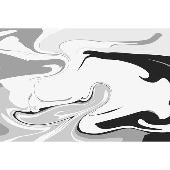 Obraz čiernobiela umelecká abstrakcia