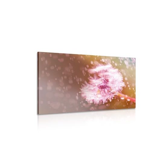 Obraz zaujimavá abstrakcia púpavy