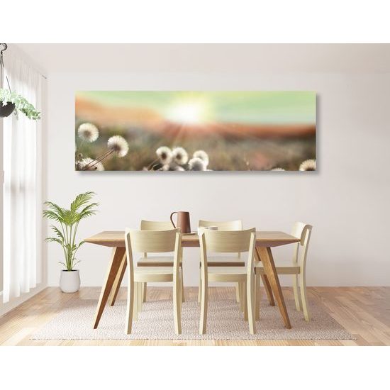 Obraz letná lúka v plnej kráse