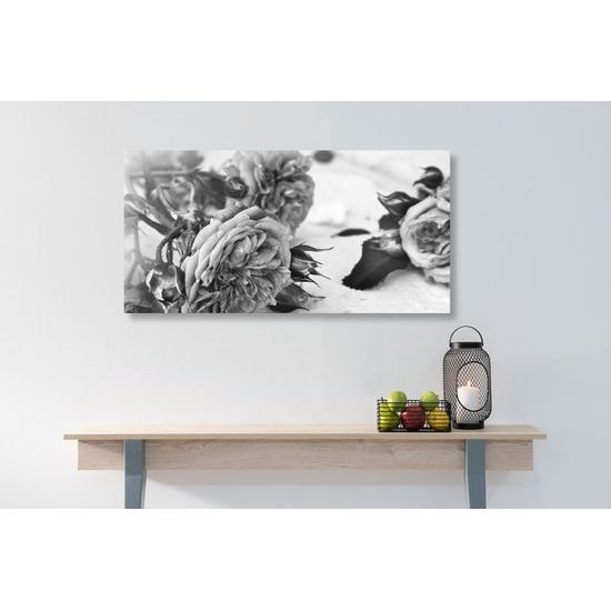 Obraz jemnosť nádherných ruží v čiernobielom prevedení