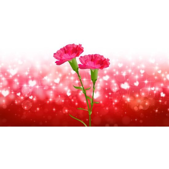 Obraz kvety karafiátu a láska