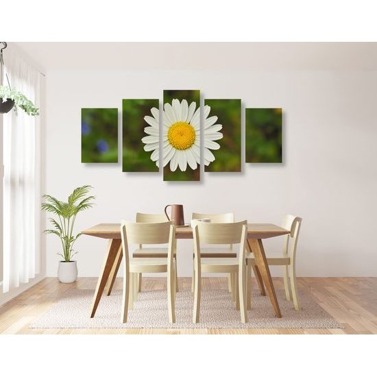 5-dielny obraz krásny lúčny kvet