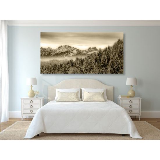 Obraz zamrznutý les v sépiovom prevedení