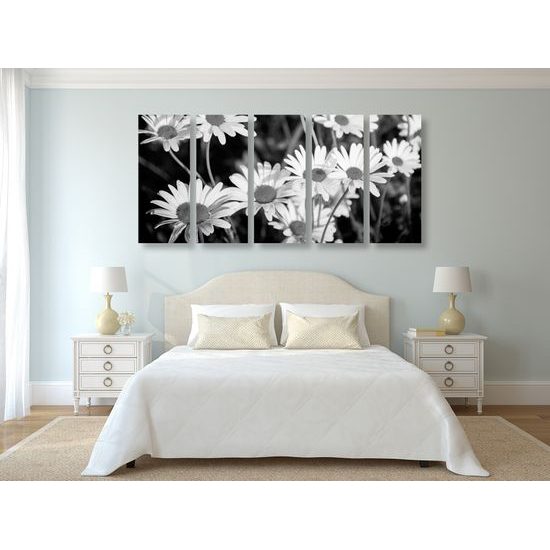 5-dielny obraz krása rozkvitnutých sedmokrások v čiernobielom prevedení