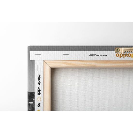 Obraz krása Japonskej prírody v čiernobielom prevedení