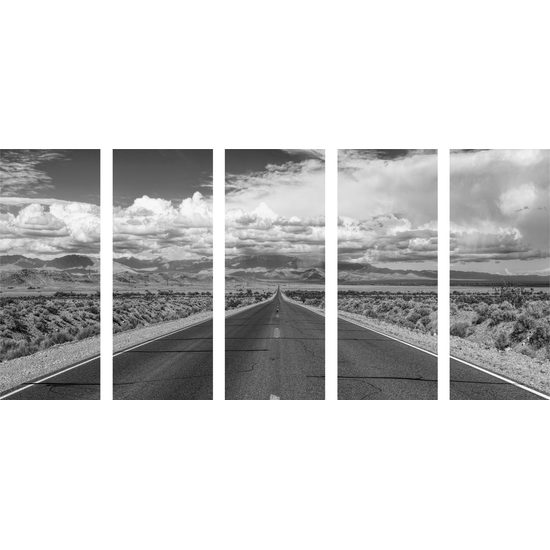 5-dielny obraz cesta pušťou v čiernobielom prevedení