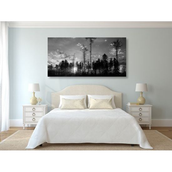 Obraz západ slnka v čiernobielom prevedení