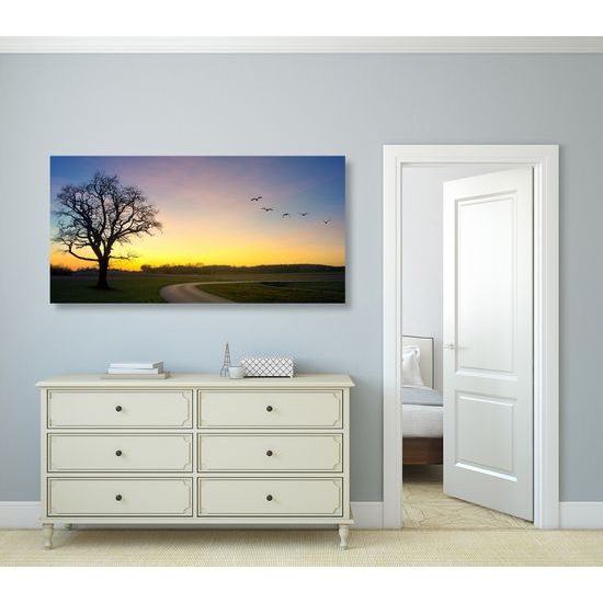 Obraz okúzľujúci západ slnka