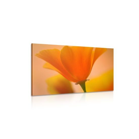 Obraz nádherný žltý kvet