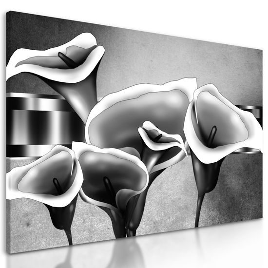 Obraz luxusné kvety kaly v čiernobielom prevedení