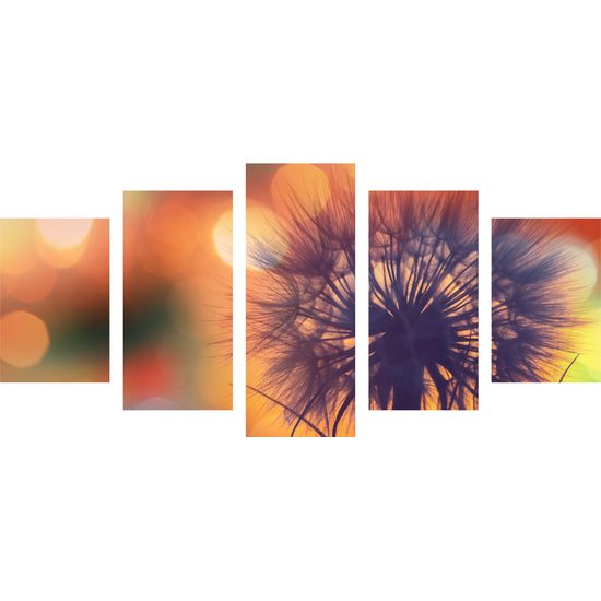 5-dielny obraz púpava pri západe slnka