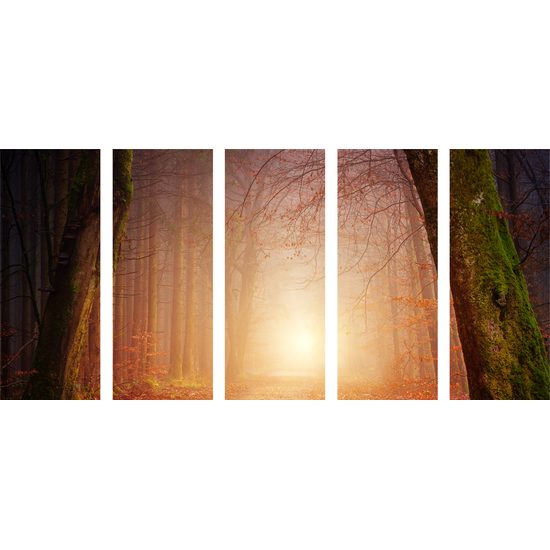 5-dielny obraz východ slnka uprostred lesa