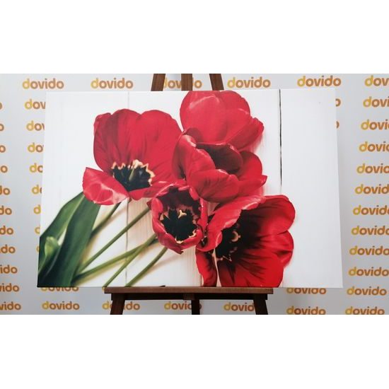 Obraz nádherné tulipány