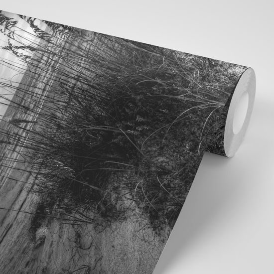 Originálna čiernobiela samolepiaca fototapeta západ slnka z pláže