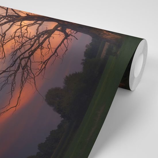 Samolepiaca fototapeta krása prírody