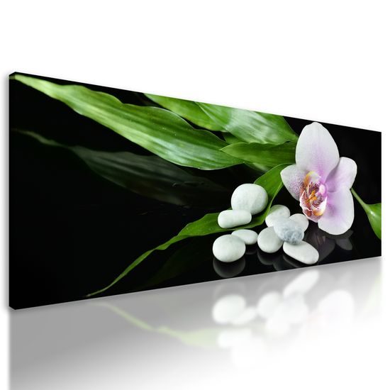 Obraz liečivá príroda