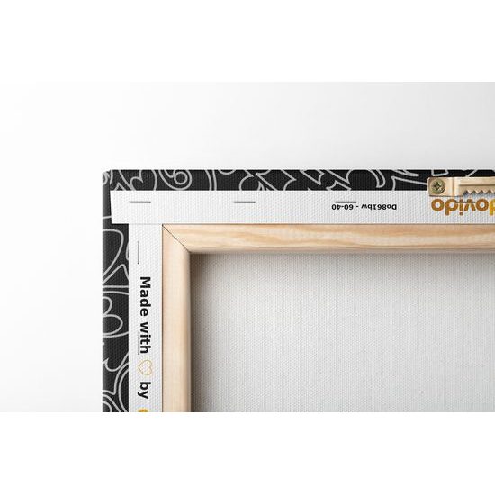 Obraz čiernobiely luxusný oranament